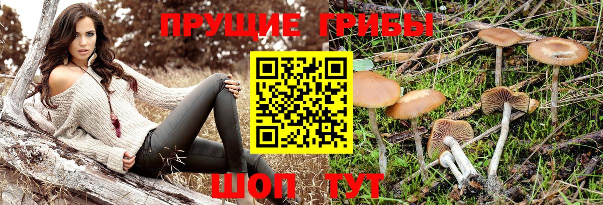 Галлюциногенные грибы мухоморы Долгопрудный
